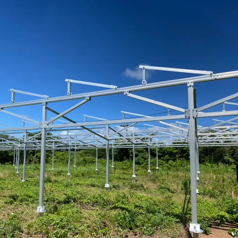 Ferme solare: viitoare stele ale energiei verzi