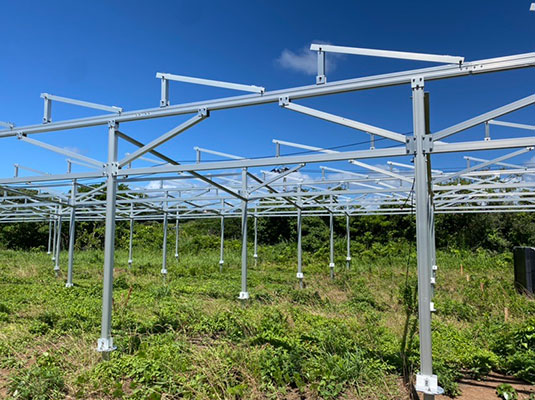 Proiectul Japoniei - Farm Shed